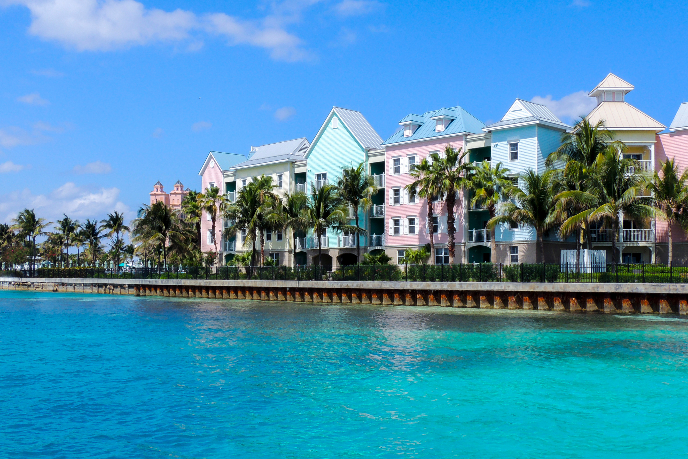 rose island (4).webp